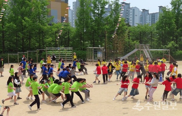 5~6학년생들이 청군과 백군으로 나눠 줄다리기를 하고 있다. (사진=가온초교)