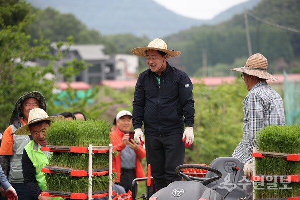 주광덕 남양주시장이 직접 모내기 시연에 참여하고 있다. (사진=남양주시)
