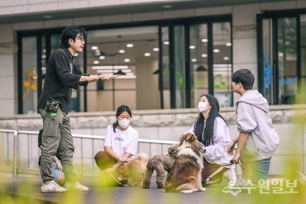 수원 청소년들이 청개구리 진로의 날에 애견 훈련사 체험을 하고 있다.(사진=수원시)