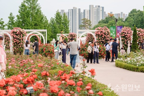 오산시 ‘오! 해피 장미 빛 축제’가 펼쳐진 고인돌공원에 많은 시민과 관광객들이 찾아와 축제를 즐기고 있다. (사진=오산시)