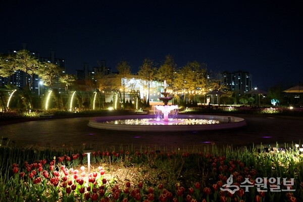 일월수목원 야간개장 모습. (사진=수원시)