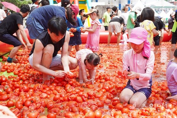 지난해 광주토마토축제에서 한 시민 가족이 ‘토마토 풀장’에서 즐거운 한때를 보내고 있다. (사진=광주시)