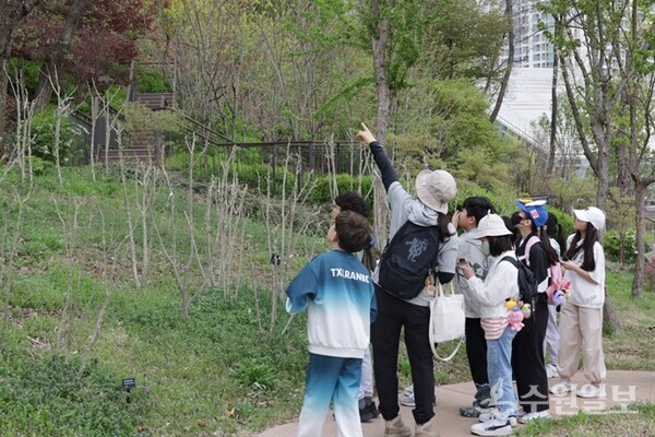 수원수목원에서 어린이들을 대상으로 한 프로그램이 진행되고 있다.(사진=수원시)