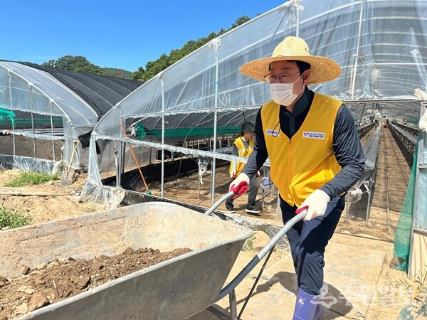 정명근 화성시장이 30일 자원봉사자들과 함께 경남 합천군 수해현장을 찾아 복구 작업에 동참하고 있다. (사진=화성시)