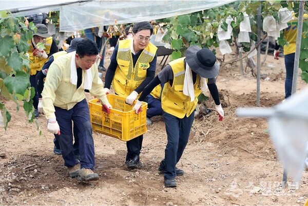 31일 오전 김동연 경기도지사(가운데)가 가평군 호우피해 지역을 방문, 서태원 가평군수(왼쪽)와 수해복구 자원봉사를 하고 있다. (사진=경기도)
