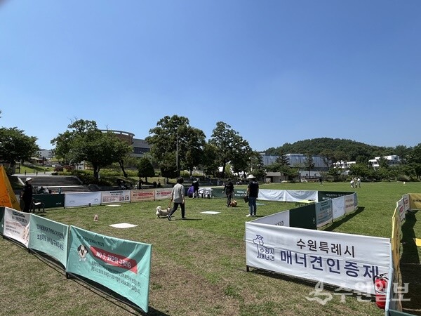 매너견 인증테스트를 하는 모습. (사진=수원시)
