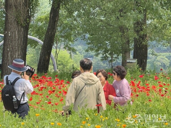 가평군이 수도권 관광객을 상대로 운영중인 ‘2025년 철도관광상품 지원사업’이 인기를 얻고 있다. (사진=가평군)