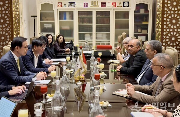 경기도교육청과 튀지니교육부 관계자들이 양국 교육 현안에 대해 협의하고 있다.(사진=경기도교육청)