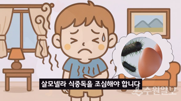 경기도식품안전정책지원단 살모넬라 식중독 조심 영상 캡처.