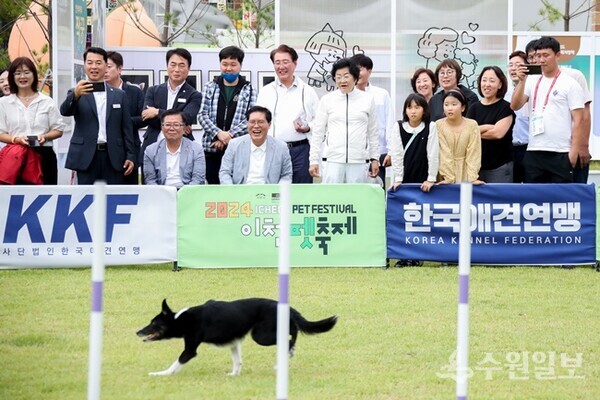 김경희 이천시장(앞줄 오른쪽 두번째)이 반려견 릴레이 달리기를 보고 있다. 사진은 지난해 행사 모습. (사진=이천시)