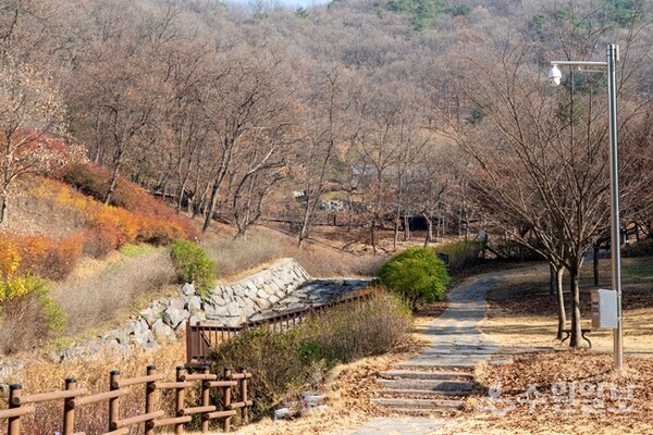파주  의주길 제5길 임진나룻길. (사진=경기도)