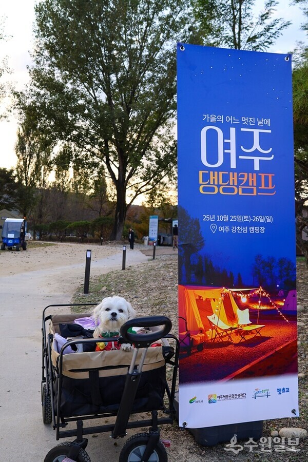 반려동물과 함께하는 ‘댕댕캠프’ 운영 홍보물.