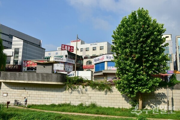 고인재, 모수길 2025.