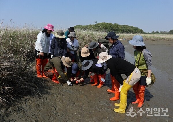 화성시생태관광사회적협동조합 활동 모습. (사진=경기문화재단)