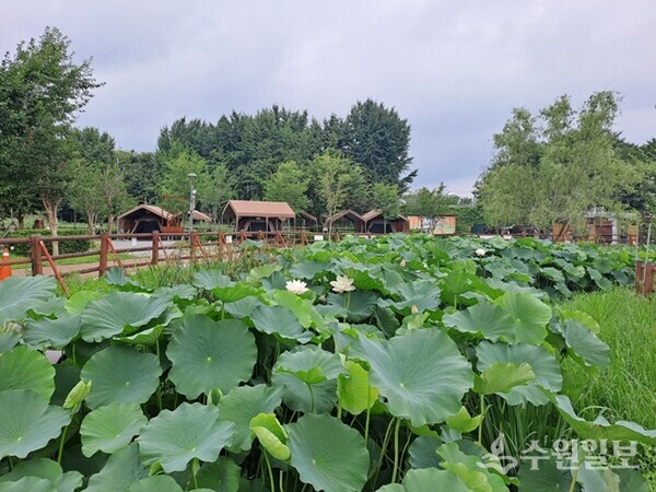 토평가족캠핑장 전경. (사진=구리도시공사)