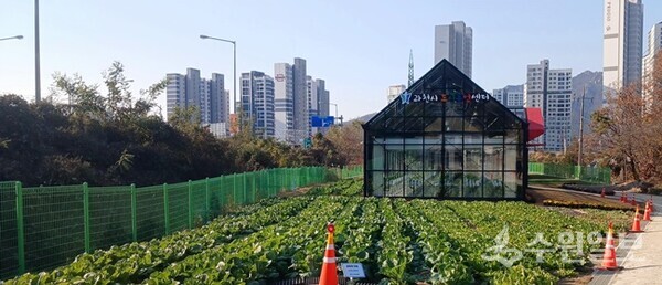 과천시 도시농업센터 모습. (사진=과천시)