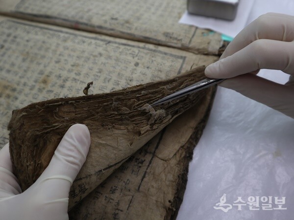 유물 보존관리 예시사진. (사진=경기문화재단)