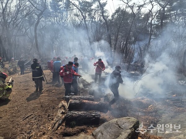 지난 12일 수원 팔달산에서 방화로 발생한 화재 현장에서 관계자들이 잔불을 정리하고 있다. (사진=수원시)