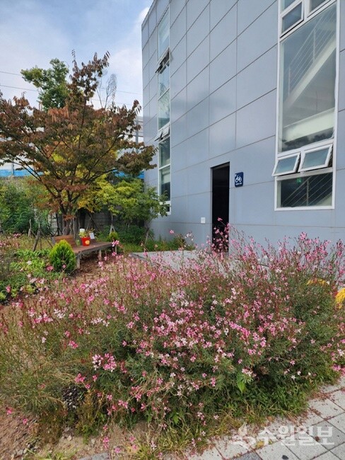 수원 곳곳에 조성된 손바닥정원. (사진=수원시)