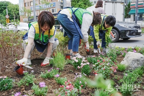 국제로타리 3750지구 수원지역 클럽 회원들이 2023년 5월 인계동에 손바닥정원을 조성하고 있다. (사진=수원시)