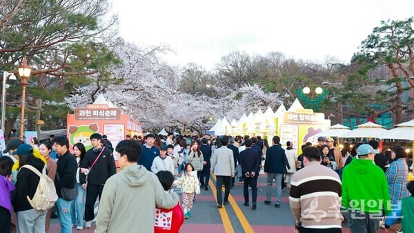 과천시 ‘과천 맛집 스트릿’이 열린 렛츠런파크 서울 ‘벚꽃축제’ 현장. (사진=과천시)