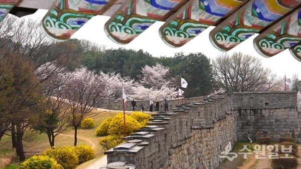 수원화성 서북각루에서 서장대 방향으로 올라가는 길을 바라보는 모습.(사진=수원시)