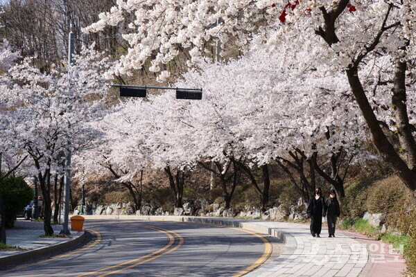 의왕시 문화예술로. (사진=의왕시)