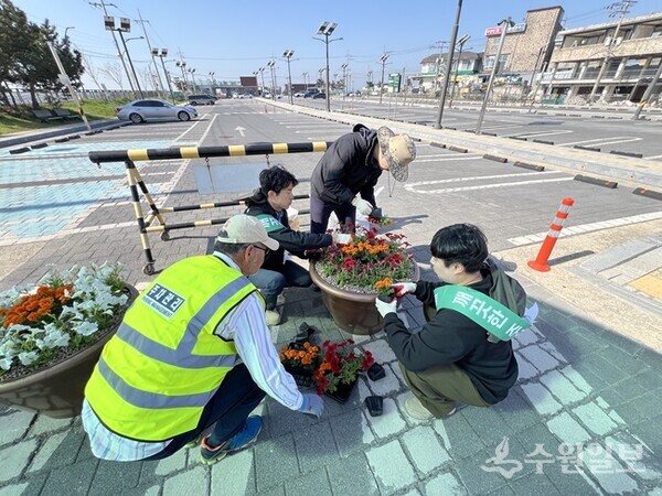 화성도시공사 직원들이 제부도 권역 공영주차장 주변 화단에 초훼류를 식재하고 있다. (사진=HU공사)
