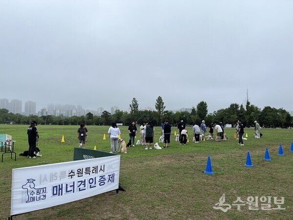 매너견 인증교육을 하는 모습. (사진=수원시)