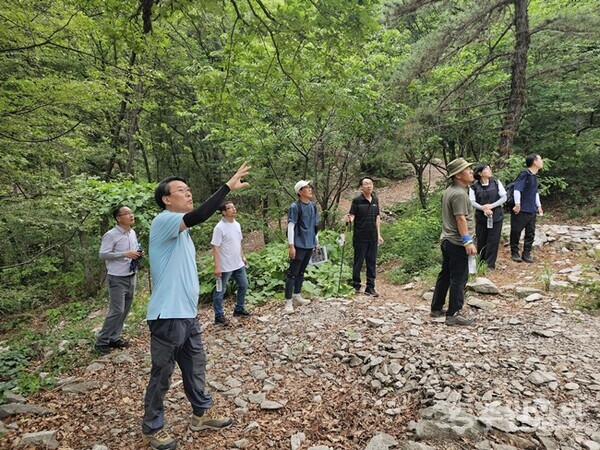 김상수 부시장(왼쪽 앞쪽)과 시 관계자들이 불암산 둘레길을 점검하고 있다. (사진=남양주시)