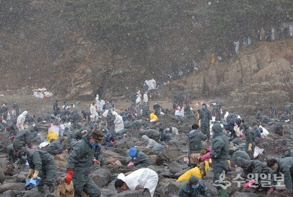 신천지자원봉사단이 지난 2007년 충남 태안 기름유출 사고 당시 약 3만 명의 봉사자가 현장을 찾아 복구 작업에 동참하고 있다(사진=신천지자원봉사단)
