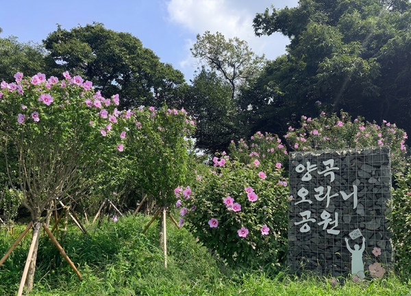경기도는 무궁화동산 3곳을 조성한다 (경기도 제공)