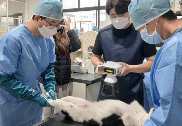 경기도가 ‘찾아가는 동물보호시설 진료활동 지원사업’을 하반기에도 6개 시설에서 실시한다 (경기도 제공)