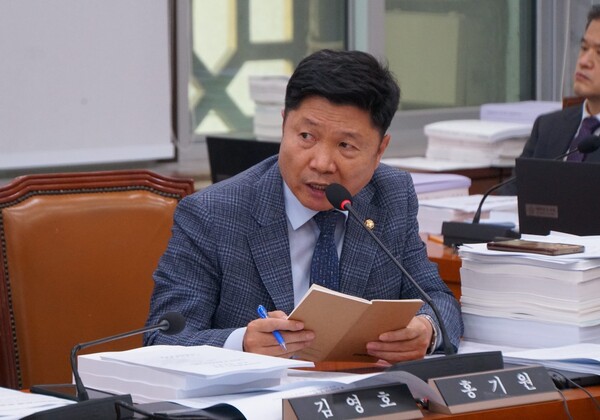 홍기원 의원이 19일 국회 외교통일위원회 전체회의에서 질의하고 있다. (홍기원 의원실 제공)