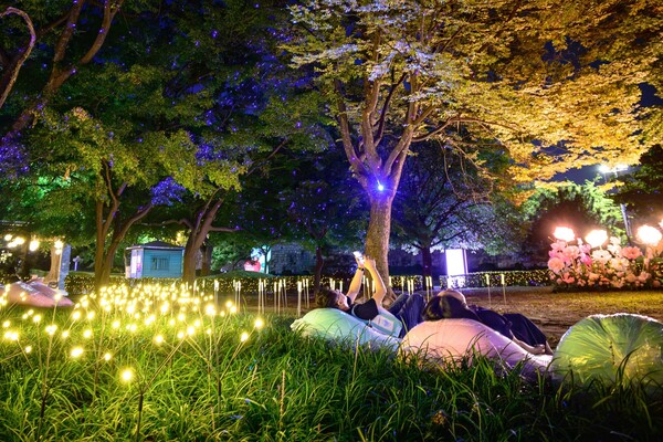 游客躺在水原华城媒体艺术植物疗愈区安装的豆袋椅上享受媒体艺术。由水原市提供